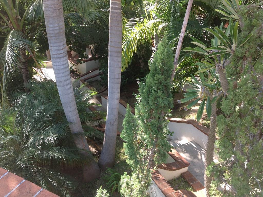 Casa Flor de Mar Hotel Zipolite Exterior foto